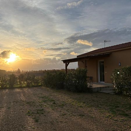Maris Suite - Appartamento Con Vasca Idromassaggio Alghero Exteriér fotografie