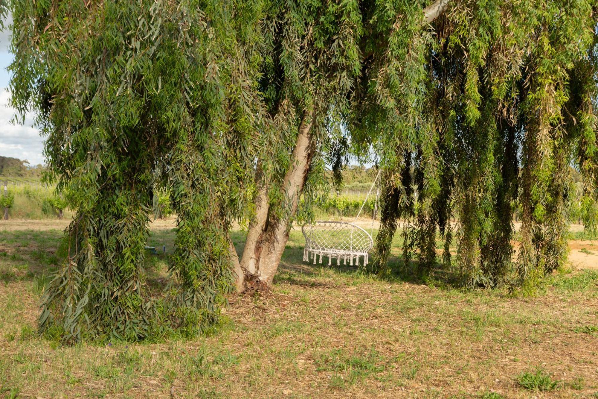 Maris Suite - Appartamento Con Vasca Idromassaggio Alghero Exteriér fotografie